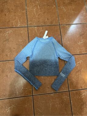 PINK Victoria's Secret Blue Ombre Long Sleeve Crop Top